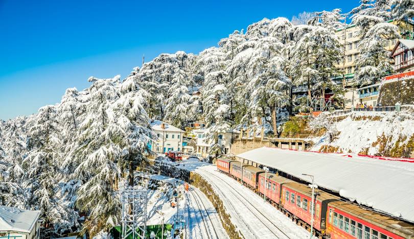 Shimla Tour Guide