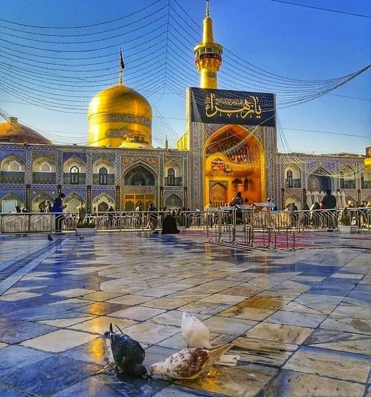 Explore Najaf