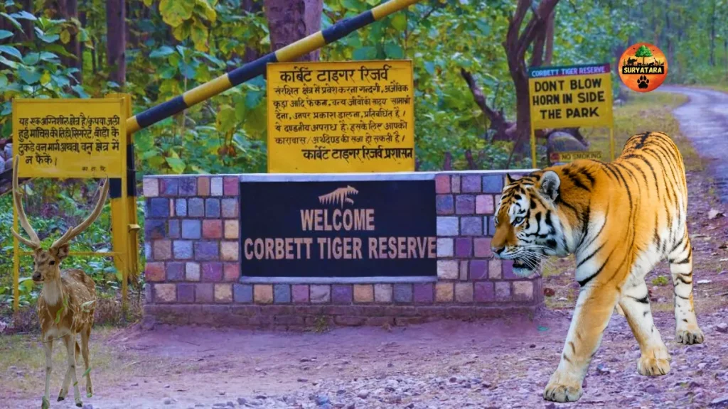 jim corbett national park